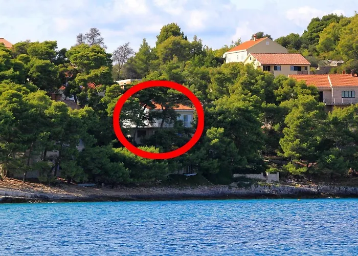 Apartments And Rooms By The Sea Lumbarda, Korcula - 9272 photo