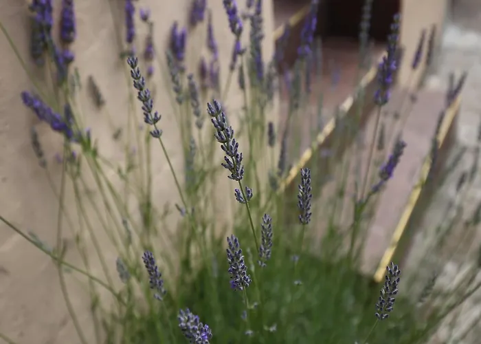 Photo de Apartments Miskovic - Studio Apartment With Balcony And Sea View East Kolocep Island